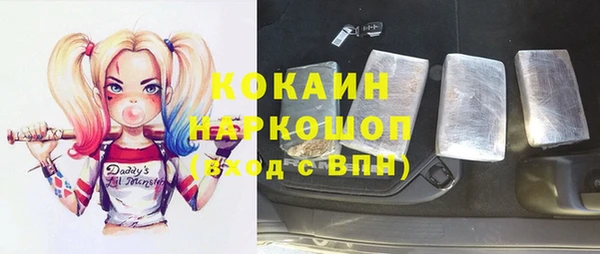 спиды Каменка