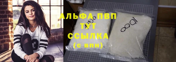спиды Каменка