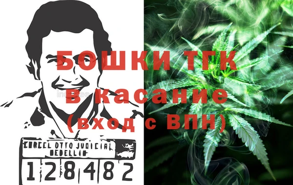 спиды Каменка
