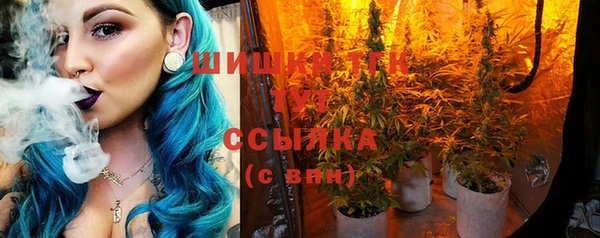 спиды Каменка