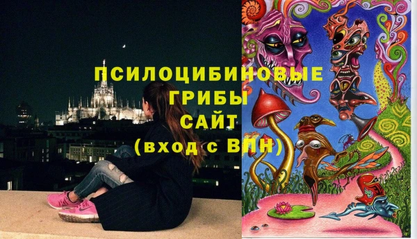 винт Каменногорск