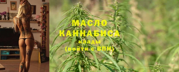 спиды Каменка