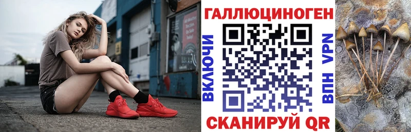 Псилоцибиновые грибы MAGIC MUSHROOMS  Купить закладки  Балтийск 